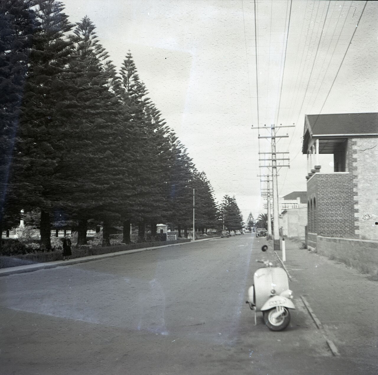 The Vespa