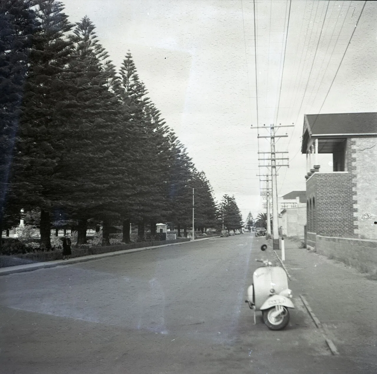 The Vespa